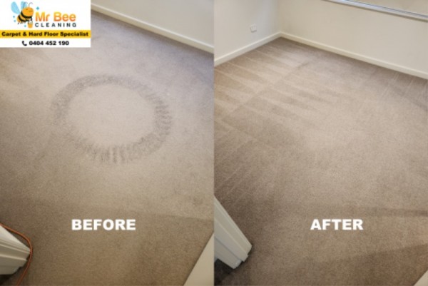 carpet 8.jpg